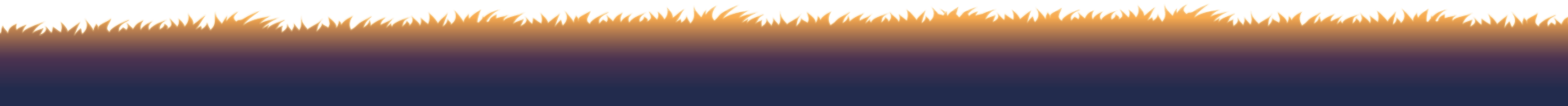 ss